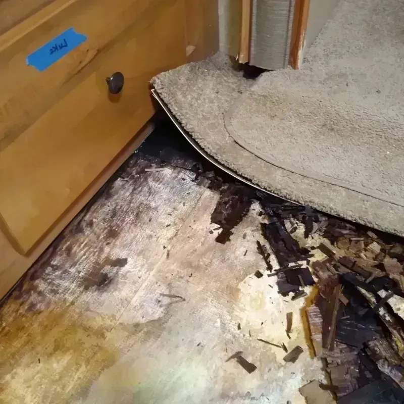 Wood Floor Water Damage in Safford, AZ